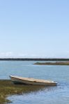 Beautiful Marshlands Stock Photo