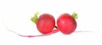 Red Radish Isolated On The White Background Stock Photo