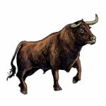 Hand Drawn Illustration Of Bull Stock Photo