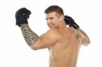 Back View Of Young Male Boxer Stock Photo