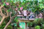 Malaga, Andalucia/spain - July 5 : View Of The Gardens Outside T Stock Photo