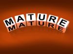 Mature Blocks Mean Maturation Growth And Development Stock Photo