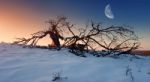 A Winter Landscape Stock Photo