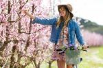 Beautiful Young Woman With A Vintage Bike In The Field Stock Photo