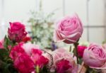 Pink Rose Bouquet Close Up Stock Photo