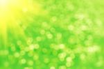 Abstract Green Bokeh And Sunligt Background Stock Photo