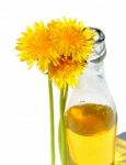 Dandelion Wine Stock Photo