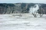 Mammoth Hot Springs Stock Photo