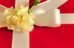 Carnation On Present Box Stock Photo