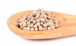 White Pepper In Wooden Spoon On Whit Background Stock Photo