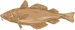 Atlantic Cod Codling Fish Drawing Stock Photo