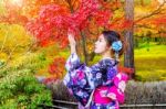 Asian Woman Wearing Japanese Traditional Kimono In Autumn Park. Japan Stock Photo