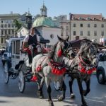 Carriage And Horses In Krakow Stock Photo