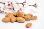 Almond Tree Branch And Almonds Stock Photo