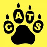 Cats Paw Represents Pet Care And Feline Stock Photo