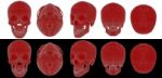 3d Render Medical Illustration Of The Skull Stock Photo