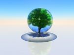 Tree In A Bubble Stock Photo