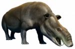 Moeritherium Stock Photo