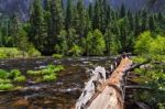 Yosemite Landscape Stock Photo