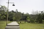 Wooden Walkway To Tropical Garden Stock Photo