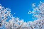 Landscape In Winter,deogyusan In Korea Stock Photo