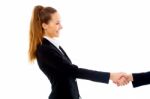 Hand Shaking Business People Stock Photo