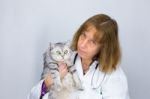 Female Vet Holding  Cat Stock Photo