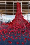 Cardiff/uk - August 27 : Poppies Pouring Out Of The Welsh Assemb Stock Photo