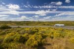 Algarve Countryside Hills With Yellow Bushes In Spring Stock Photo