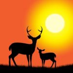 Deer Wildlife Represents Nature Reserve And Animal Stock Photo