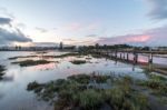 Wooden Passage Over The Water Stock Photo