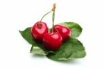 Cherry On Leafs Stock Photo