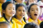 Primary Students Visit The Zoo, In The Jul 27, 2016. Bangkok Thailand Stock Photo