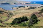 Otago Peninsula Stock Photo