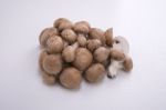 Mushrooms On A White Background Wet Stock Photo