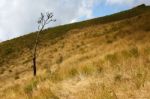 Grass Hill Landscape In Autumn Stock Photo