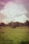 Beautiful Summer Mountain Landscape. Retro Filtered. Cross Process Stock Photo