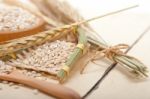 Organic Barley Grains Stock Photo