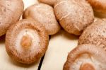 Shiitake Mushrooms Stock Photo