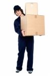 Mail Woman Delivering Parcel Stock Photo