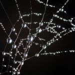 Spiderweb Stock Photo