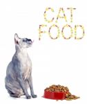 Sphynx Cat And The Inscription Of The Feed 'cat Food' Stock Photo