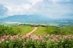 Windmills New Energy With Spring Flower On The Mountain Stock Photo