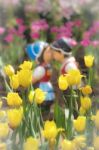 Two Kissing Dolls In Tulip Garden Stock Photo