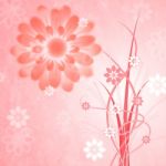 Background Pink Shows Bloom Petal And Blooming Stock Photo