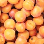 Ripe Fresh Peaches Stock Photo