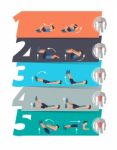 Abdominal Exercise Banner Stock Photo