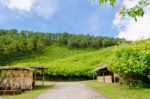 Scenic Nature Doi Mae Uko Mountain Stock Photo