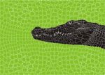 Pattern Crocodile Background Stock Photo