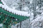 Landscape In Winter With Roof Of Gyeongbokgung And Falling Snow In Seoul,south Korea Stock Photo